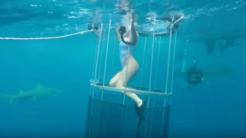Καρχαρίας δάγκωσε γυναίκα αισθησιακών ταινιών εν ώρα γυρίσματος! (φωτό, βίντεο)