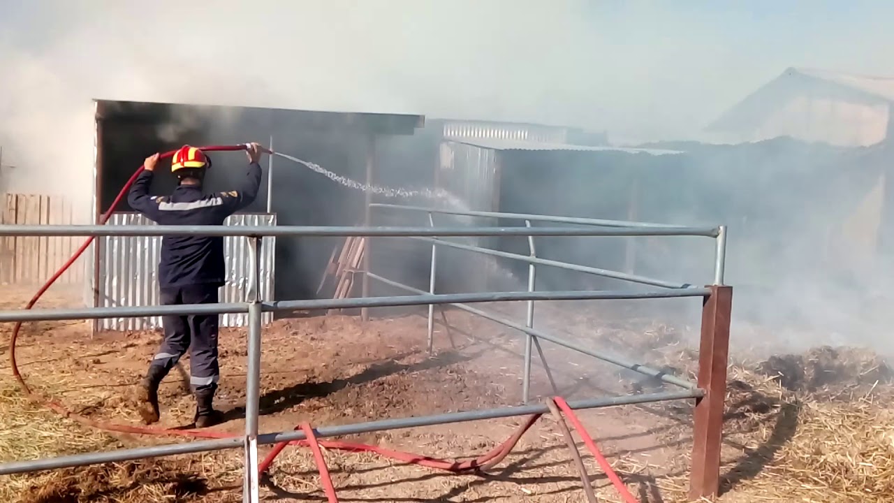 Γρεβενά: Κάηκαν ζωντανά 180 ζώα μετά από φωτιά σε στάβλο! – Άγνωστα τα αίτια της πυρκαγιάς
