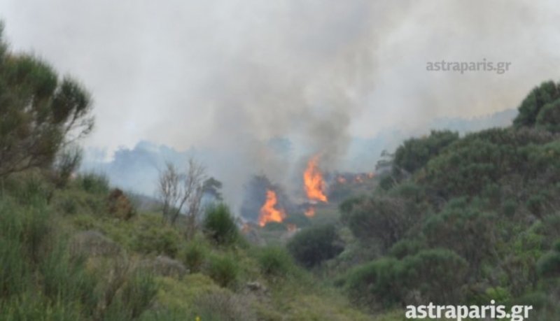 Χίος: Στάχτη 80 στρέμματα από φωτιά που προκάλεσαν κεραυνοί