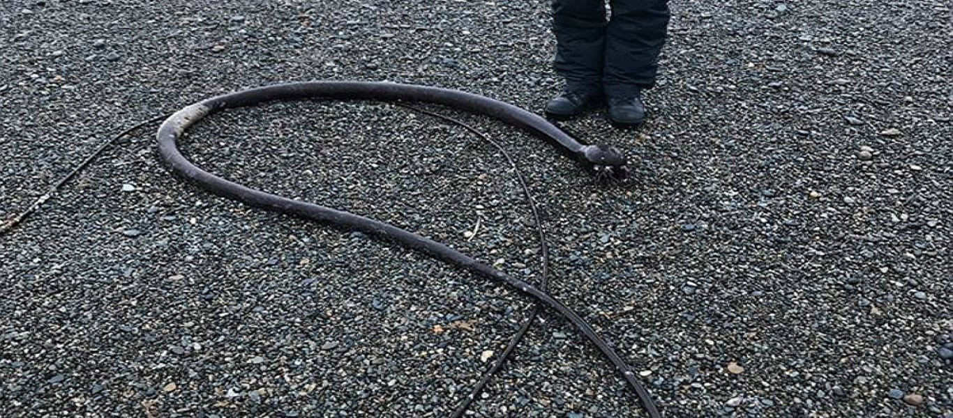 Ρωσία: Μυστήριο με θαλάσσιο φίδι 20 μέτρων (φωτό)