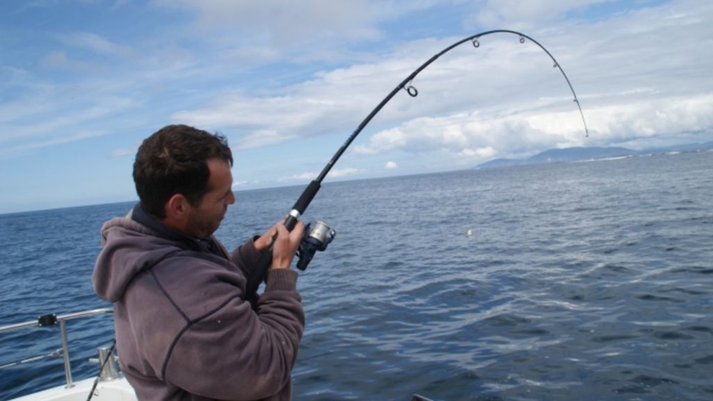 Ψάρεμα με… κοντάρια: Δείτε τι μεγάλα ψάρια βγάζουν σχεδόν με τα χέρια (βίντεο)