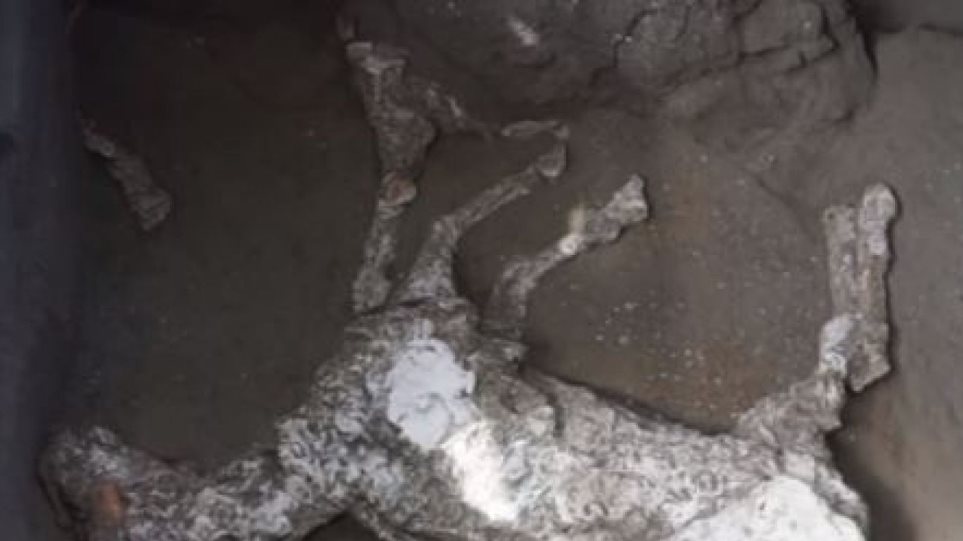 Εντυπωσιακό: Ανακαλύφθηκε άλογο στην Πομπηία, που είχε πετρώσει από τη λάβα του Βεζούβιου (βίντεο)
