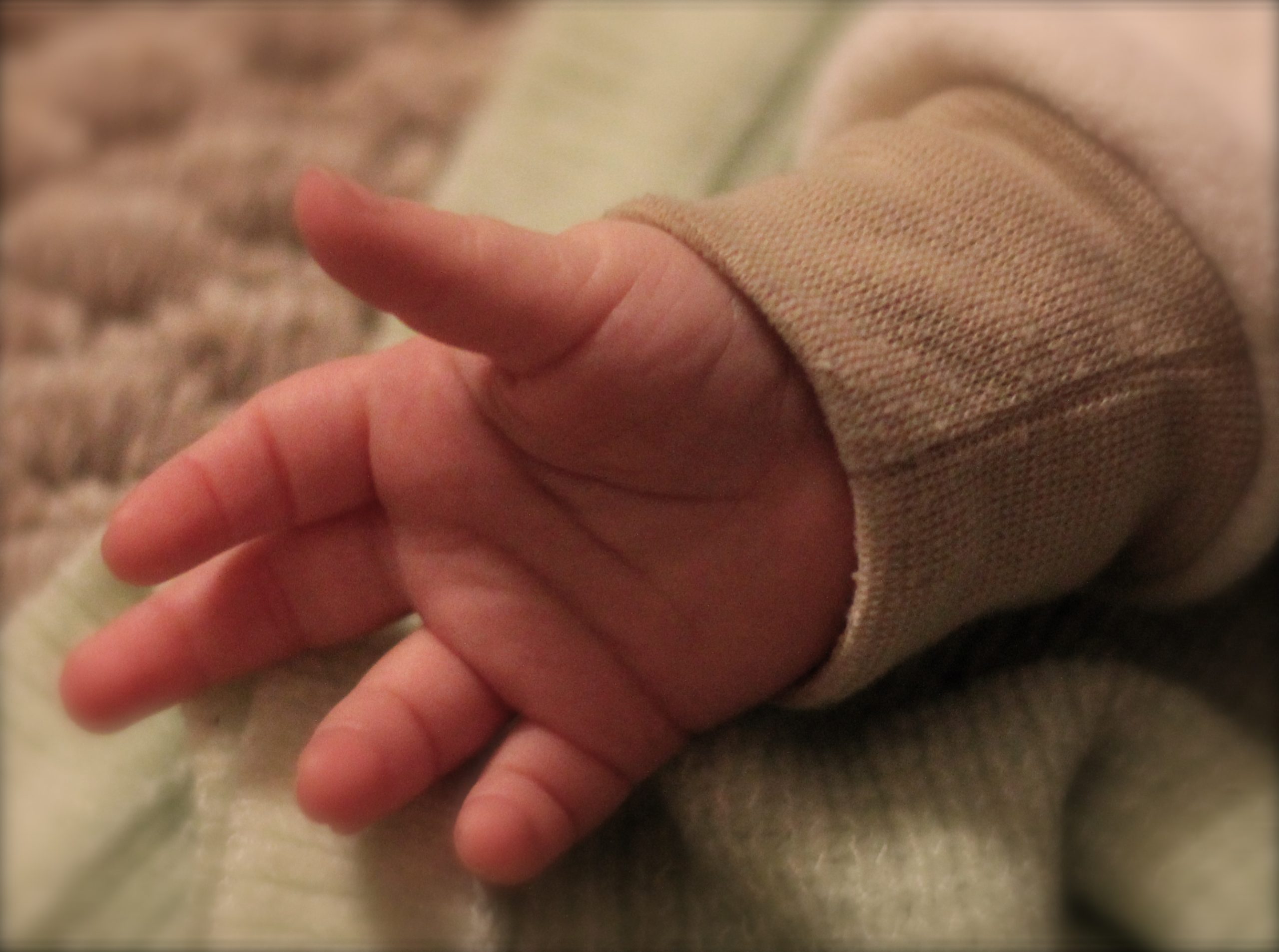 Μια 19χρονη είναι ο φονιάς του μωρού στην Πετρούπολη – Το έπνιξε αφού το γέννησε- Σοκάρουν οι αποκαλύψεις