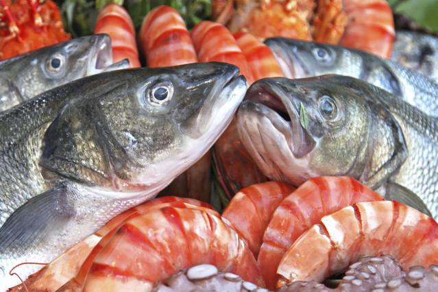 Τριάντα κιλά ακατάλληλα ψάρια σε εστιατόρια του Πειραιά – Κατασχέθηκαν
