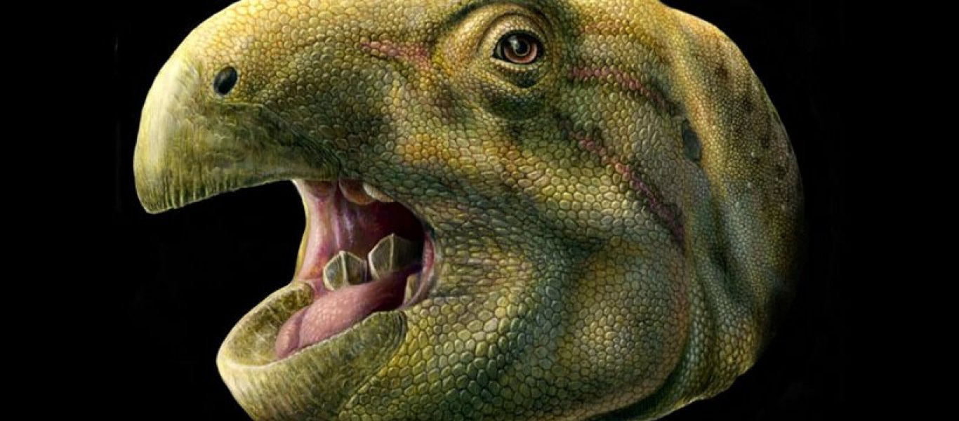 Βρέθηκε νέο είδος δεινοσαύρου – Τί ανακάλυψαν ακριβώς οι επιστήμονες!