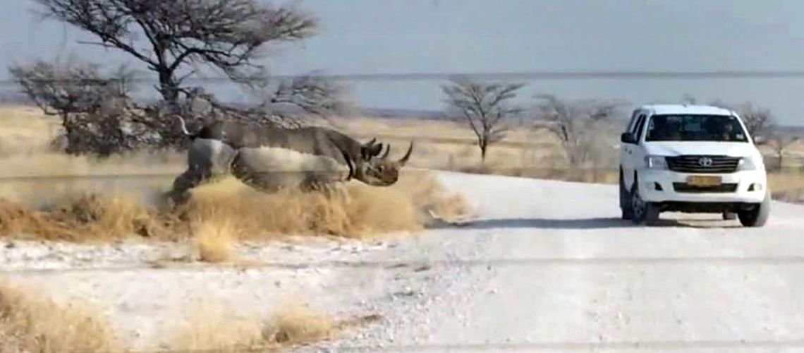 Αγριεμένος ρινόκερος επιτίθεται σε τουρίστες… και δείτε τί συμβαίνει! (βίντεο)