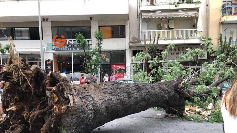 Θεσσαλονίκη: Μεγάλο δέντρο έπεσε πάνω σε δύο Ι.Χ. κοντά στη Ροτόντα! (φωτό)