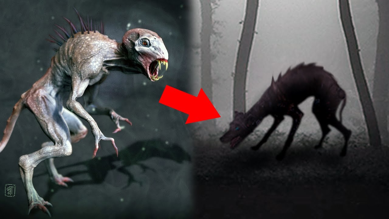 Βίντεο: 5 δημοφιλείς μύθοι που είναι αληθινοί!