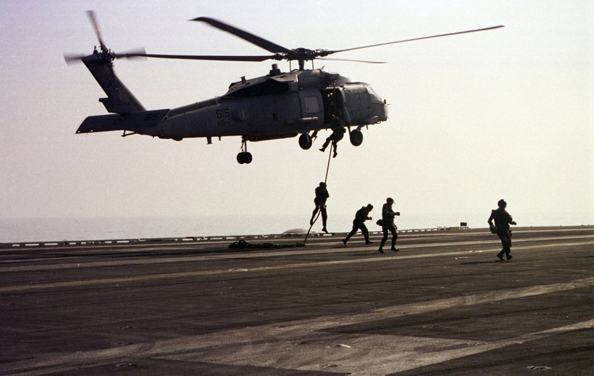 seals.jpg
