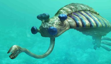 Τα πιο παράξενα ζώα της προϊστορικής περιόδου (βίντεο)