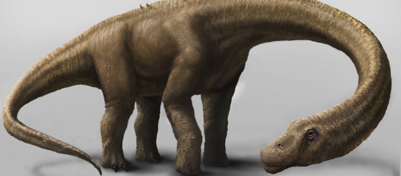 Ανακαλύφθηκε ο “Ατρόμητος”: Ο μεγαλύτερος δεινόσαυρος που εμφανίστηκε στη Γη [εικόνες]