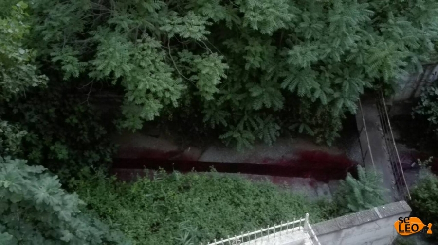 Ανεξήγητο φαινόμενο στη Θεσσαλονίκη -Ρέει κόκκινο ποτάμι και βάφει το μπετόν  (φωτο, βιντεο)