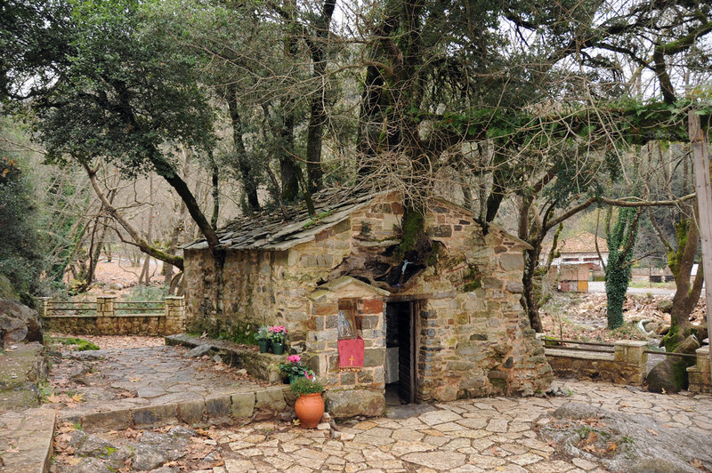 Το εκκλησάκι στην Πελοπόννησο που μπήκε στα Ρεκόρ Γκίνες: 17 δέντρα βγαίνουν μέσα από τη σκεπή του! (φωτό)