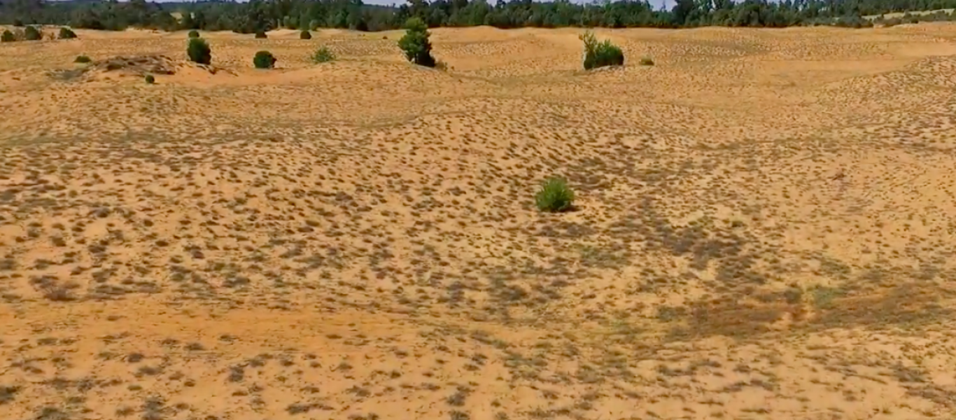 Μοναδικό τοπίο- «Η έρημος της Ελλάδας» βρίσκεται στην Ηλεία! (βίντεο)
