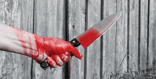 Φρίκη στις ΗΠΑ (για ακόμα μια φορά): Τρελάρας μαχαίρωσε έξι παιδιά σε παιδικό πάρτι!