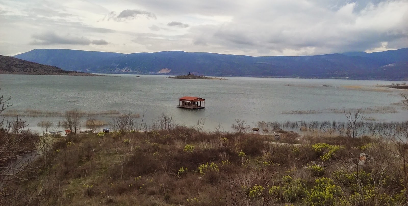 Ανησυχία στη λίμνη Βεγορίτιδα: Μεγάλη ποσότητα φυτοπλαγκτόν προκάλεσε δυσχρωματισμό των υδάτων