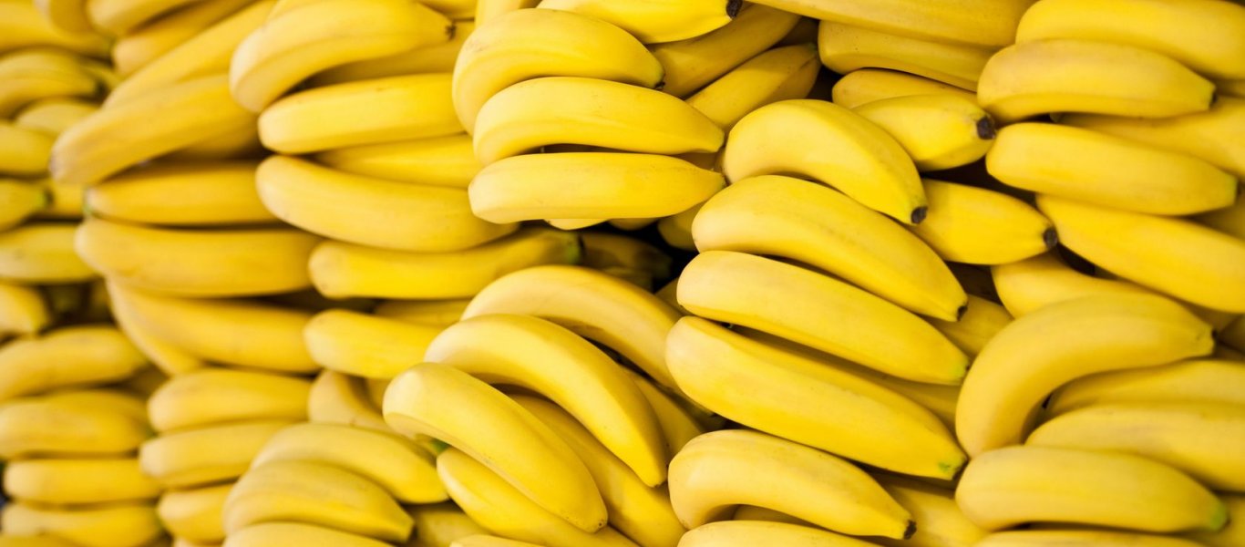 Συναγερμός για τις μπανάνες: Κίνδυνος εξαφάνισης από μια θανατηφόρα μυκητιακή λοίμωξη