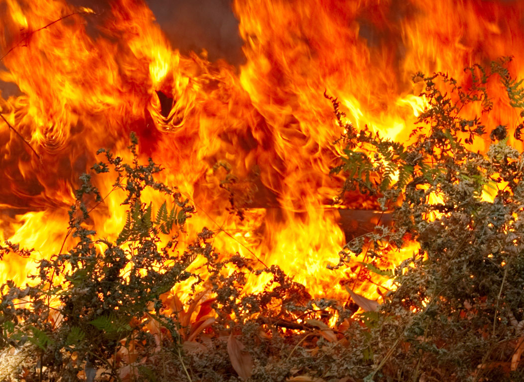 Μεγάλη δασική πυρκαγιά στην Καλιφόρνια-Ένας νεκρός