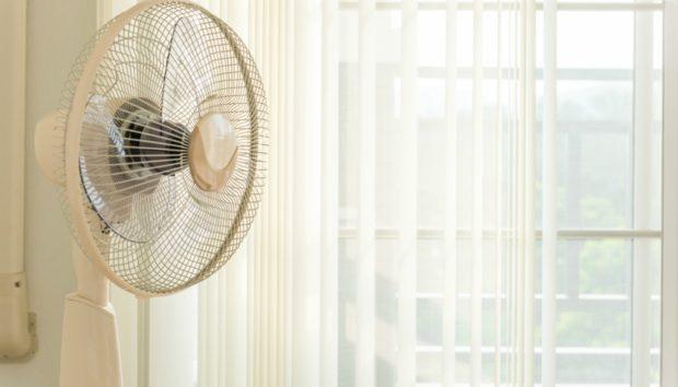 Με αυτό το κόλπο δεν θα ξαναδείτε κουνούπι στο σπίτι σας (βίντεο)