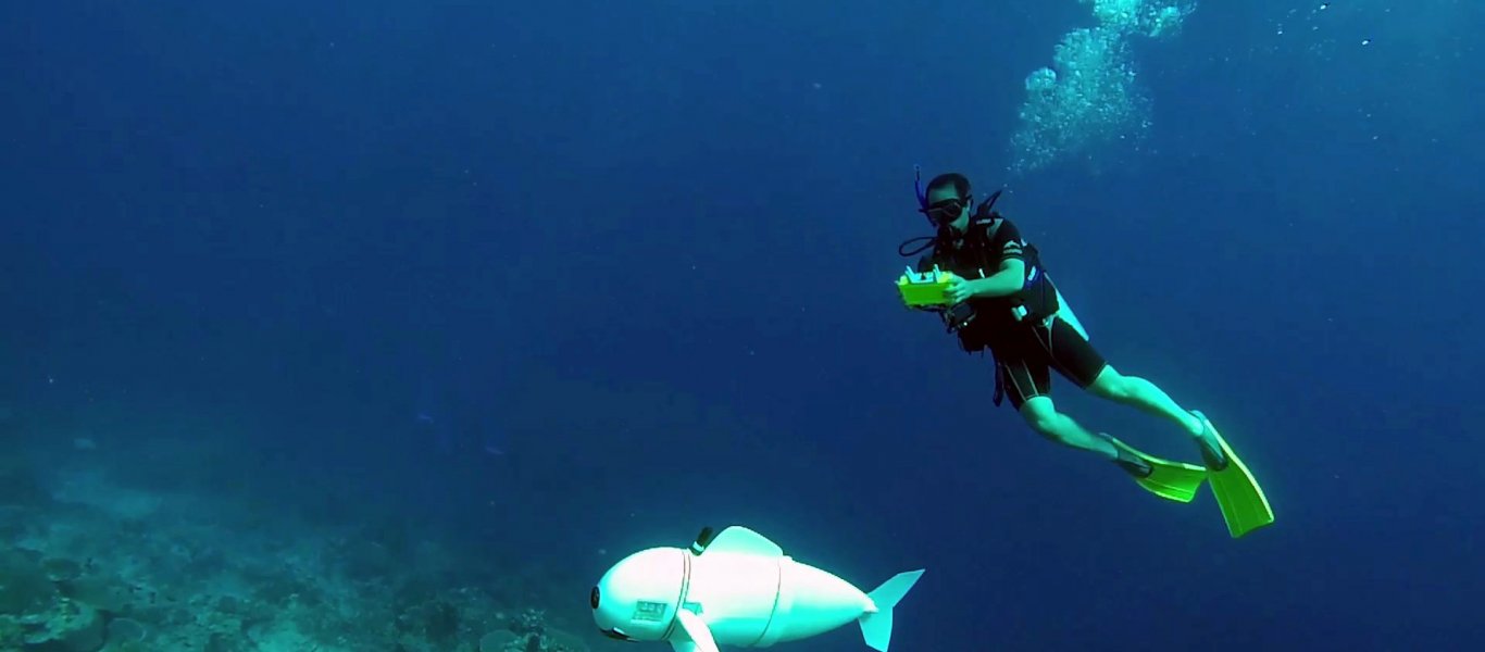 SoFi: Το πρώτο ρομποτικό ψάρι που μοιάζει με πραγματικό και το «εμπιστεύονται» τα υπόλοιπα (βίντεο)