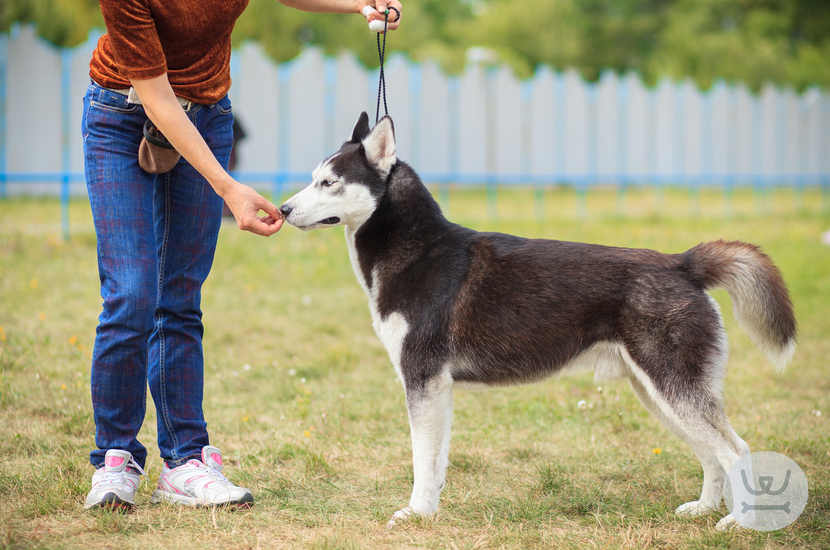Το ξέρατε ότι η μύτη του σκύλου είναι σαν δαχτυλικό αποτύπωμα;