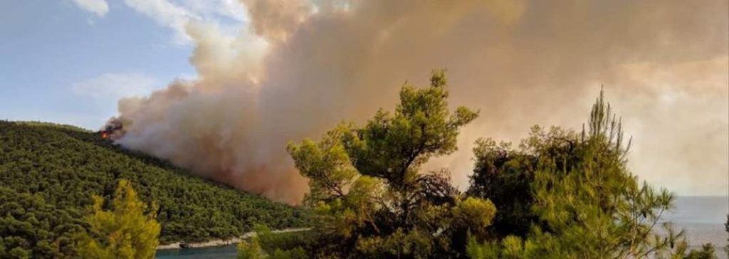 Μεγάλη πυρκαγιά σε δάσος στη Σκόπελο σε εξέλιξη