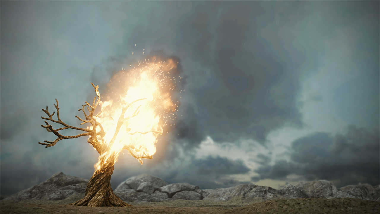 Το ονόμασαν δέντρο του Διαβόλου και όχι τυχαία! (βίντεο)