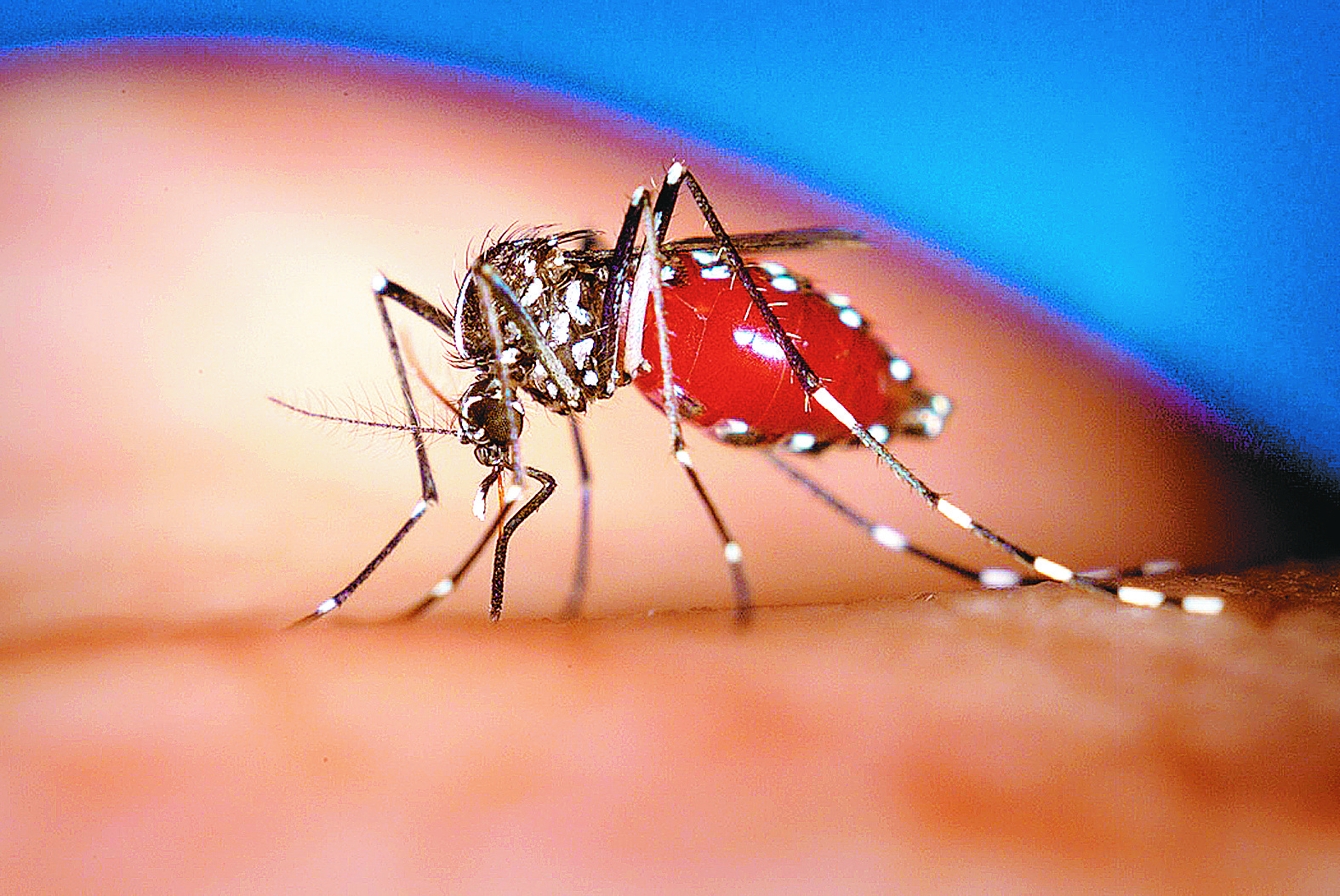 Νέο φάρμακο για την ελονοσία- Το πιο σημαντικό επίτευγμα τα τελευταία 60 χρόνια