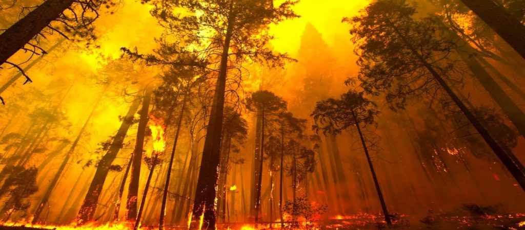 ΕΚΤΑΚΤΟ: Πύρινη λαίλαπα και στον Κάλαμο Αττικής – Καίγονται σπίτια