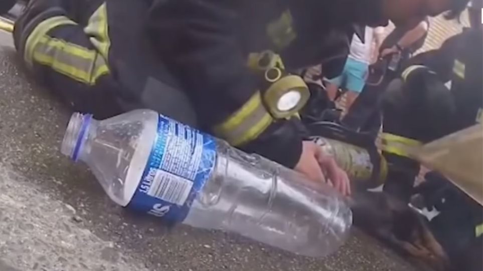 Ισπανία: Πυροσβέστης σώζει σκύλο από φλεγόμενο κτίριο (βίντεο)