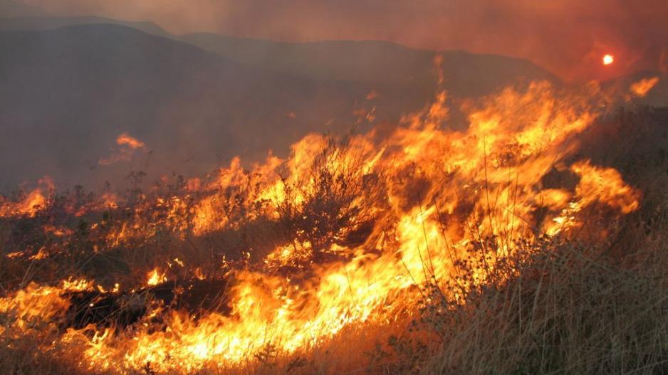 Νέα δεδομένα για τη φωτιά στην Εύβοια: Κάηκε σπίτι στο Κοντοδεσπότι- Εκκενώνεται μοναστήρι