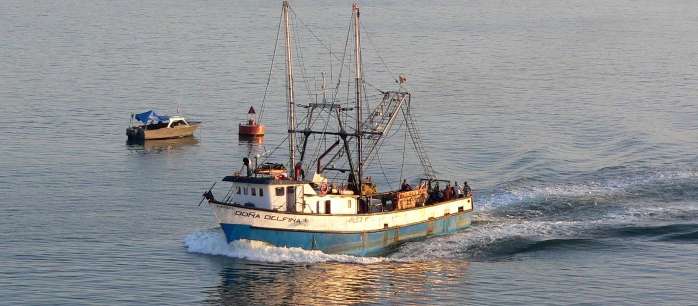 Το φυτοπλαγκτόν στο Θρακικό πέλαγος αφήνει χωρίς μεροκάματο τους ψαράδες