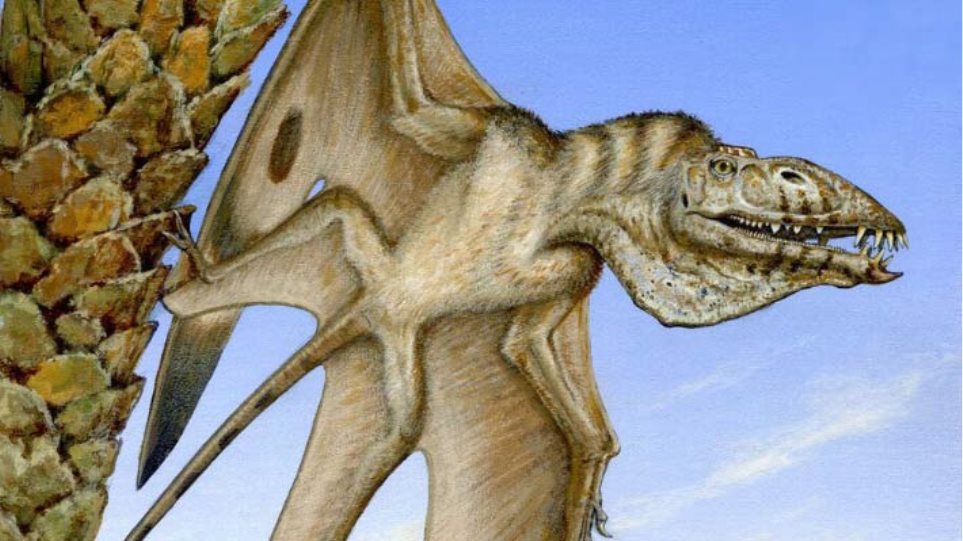 Νέος πτερόσαυρος με μυτερά δόντια και κεφάλι σαν του πελεκάνου ανακαλύφθηκε στις ΗΠΑ