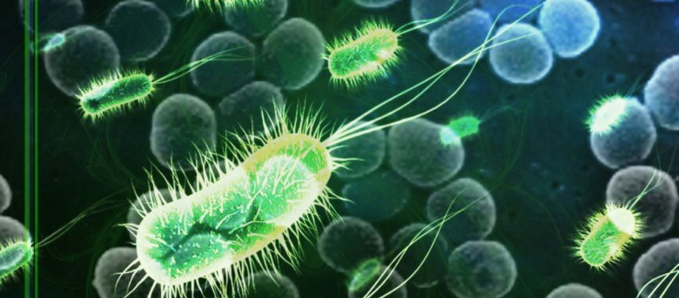 «Τo δώρο των Θεών»! – Το πάμφθηνο φρούτο που μας προστατεύει από 6 ασθένειες!