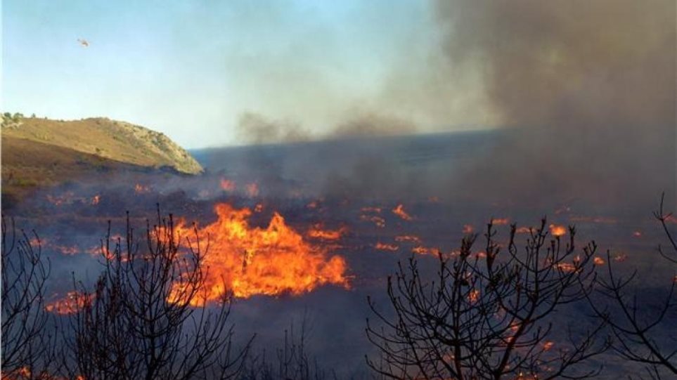 Κρήτη: Δύο πυρκαγιές σε Χανιά και Ηράκλειο