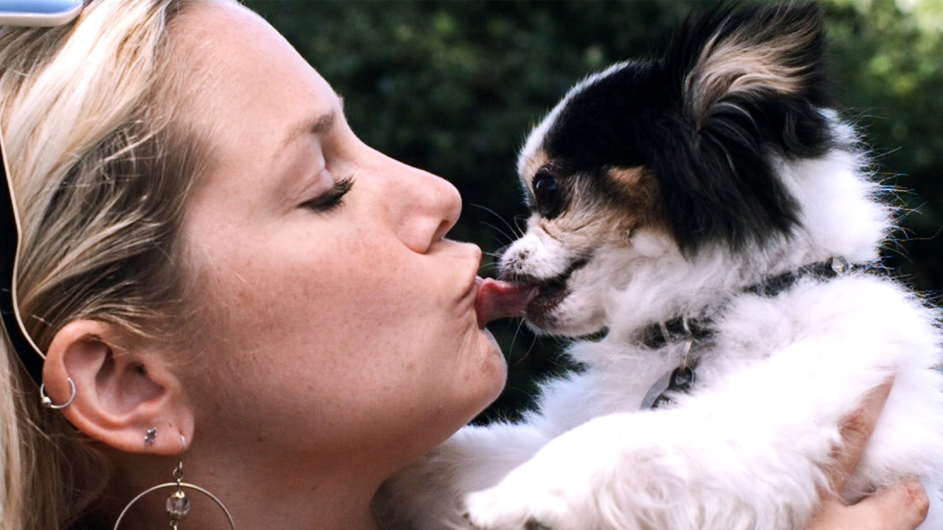Ουλίτιδα: Μήπως ευθύνεται ο σκύλος σας;