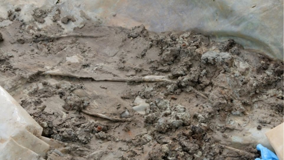 Κρήτη: Μυστήριο με οστά που βρέθηκαν στον Κρουσώνα Ηρακλείου