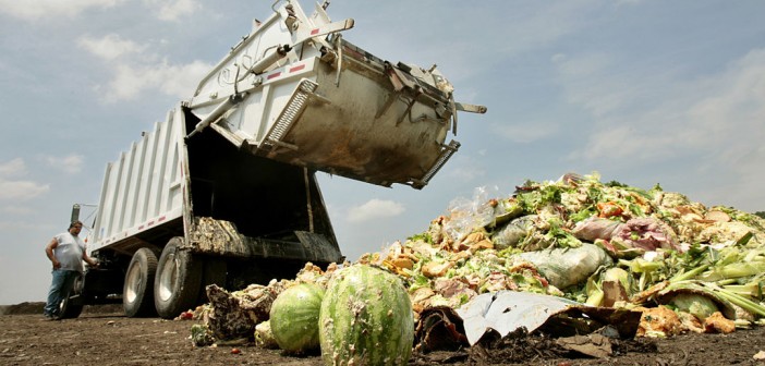 Μέχρι το 2030 δύο δισ. τόνοι τρόφιμα θα πετιούνται στα σκουπίδια κάθε χρόνο – Σύμφωνα με έρευνα
