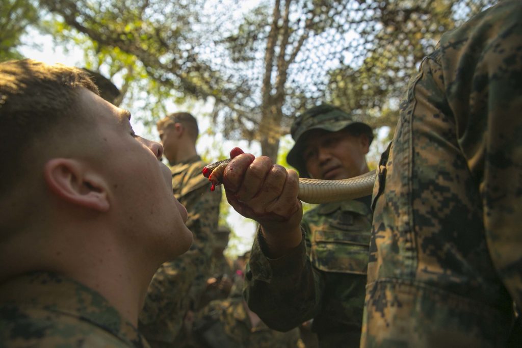 Εκπαίδευση στην ζούγκλα για τις Ειδικές Δυνάμεις των ΗΠΑ, Ιαπωνίας και Αυστραλίας – Τρώνε ζωντανά φίδια (βίντεο)