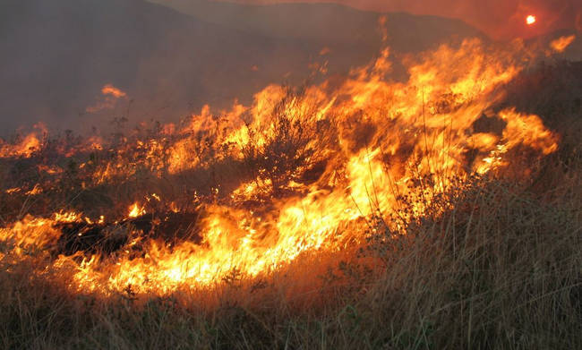 Φωτιά στην Κέρκυρα: Εκκενώθηκε το χωριό Ραχτάδες