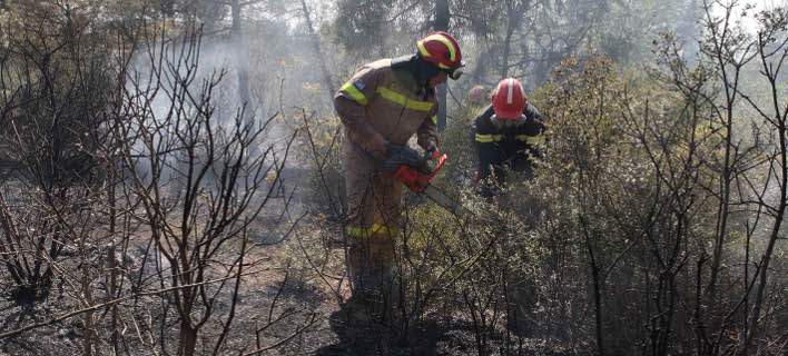 Πυρκαγιά στην Εύβοια: Φωτιά σε δάσος στην περιοχή Ροβιές