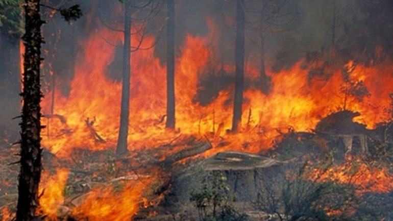 ΗΠΑ: Μεγάλη πυρκαγιά στη βόρεια Καλιφόρνια – Εκκενώθηκαν κατοικημένες περιοχές