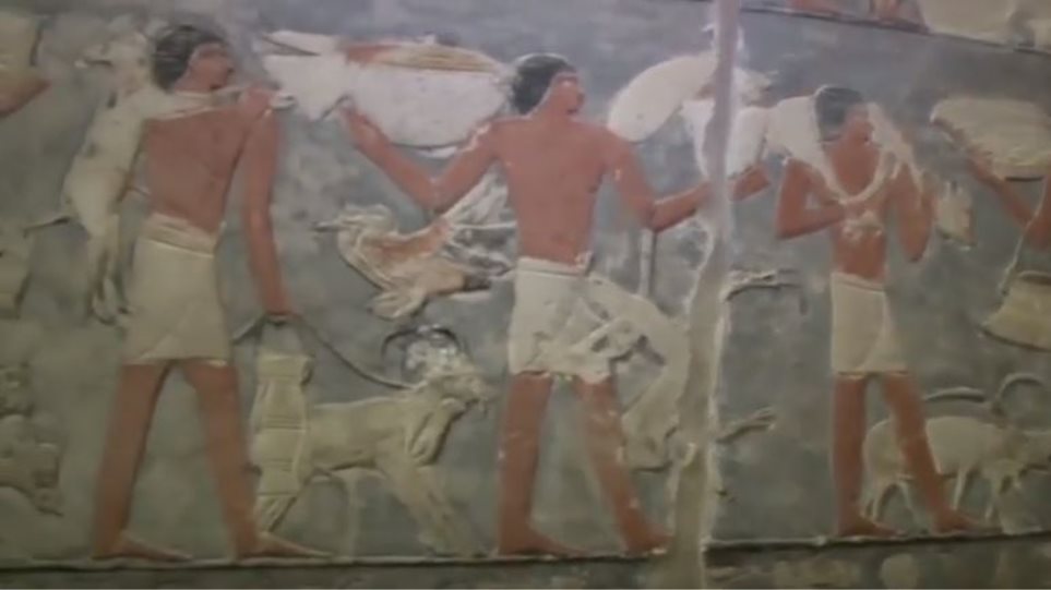 Αίγυπτος: Για πρώτη φορά αποκαλύφθηκε το εσωτερικό τάφου Φαραώ 4.000 χρόνων (βίντεο)