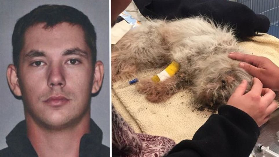 Σοκαριστικό: Έθαψε τον σκύλο του ζωντανό επειδή τσακωνόταν με  τη γάτα του!