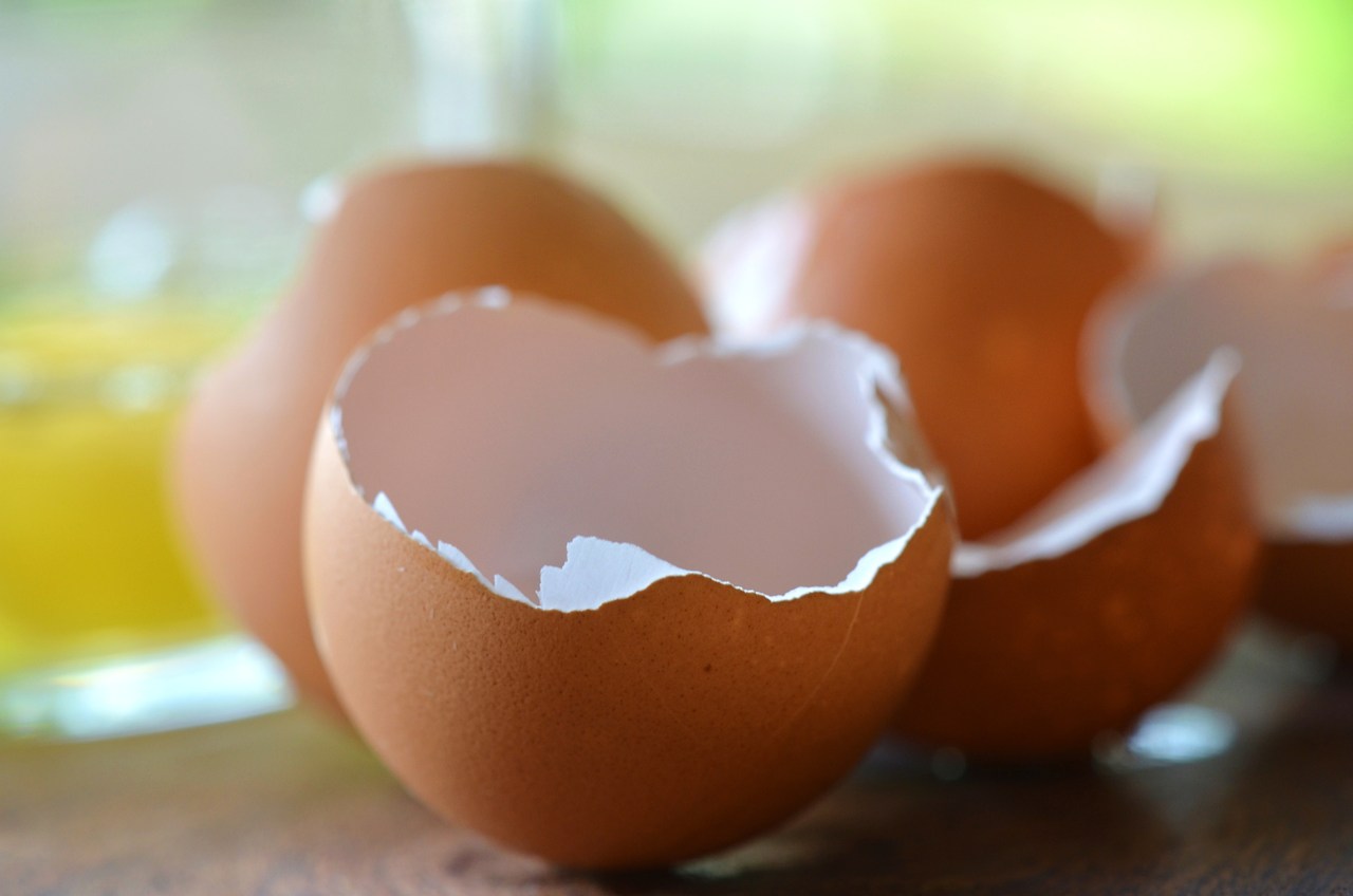 Γιατί να μην πετάτε τα τσόφλια από τα αυγά – Δεν πάει ο νους σας…