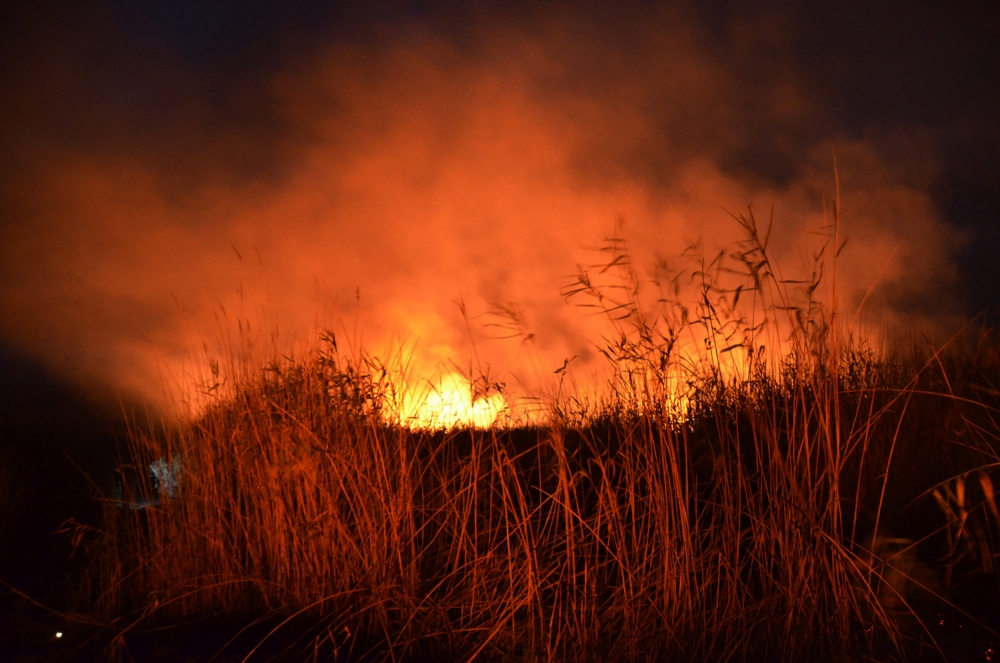 Πυρκαγιά σε εξέλιξη στη Βάρκιζα – Στο ύψος του Ribas