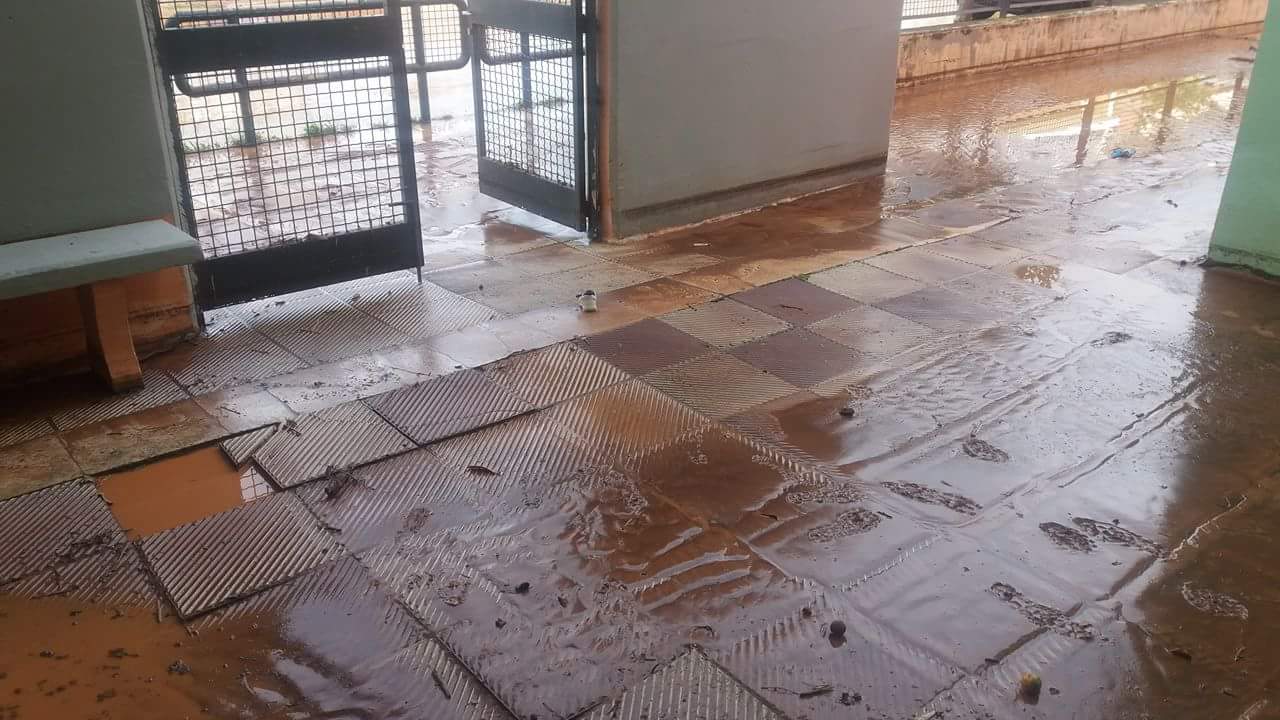 Χάος στη Λαμία: Πλημμύρισαν αίθουσες σε δημοτικό σχολείο – Τι καταγγέλλουν οι γονείς