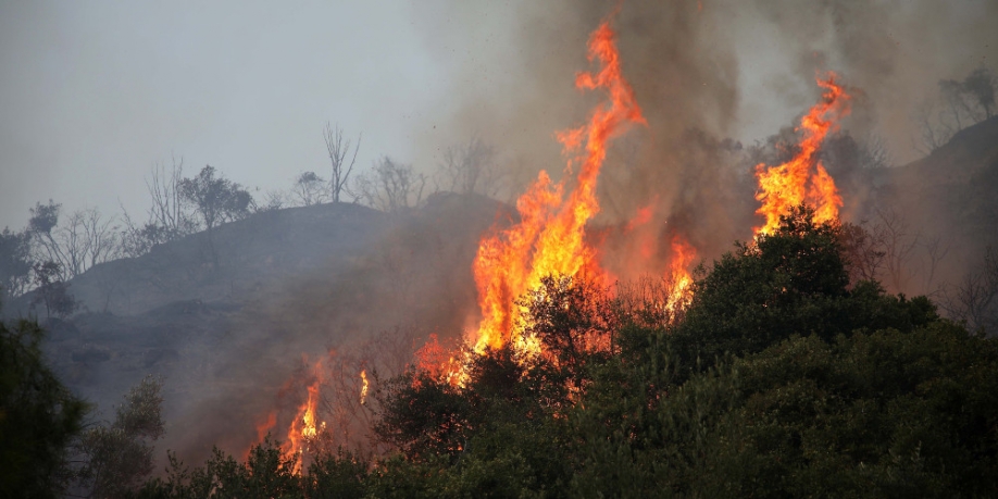 Φρικτός θάνατος άνδρα στα Τρίκαλα – Κάηκε ζωντανός στο περιβόλι του!
