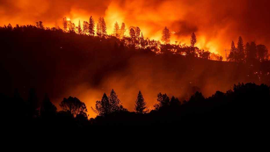 Kαλιφόρνια: 65 νεκροί και 630 αγνοούμενοι από τις φονικές πυρκαγιές! (βίντεο)