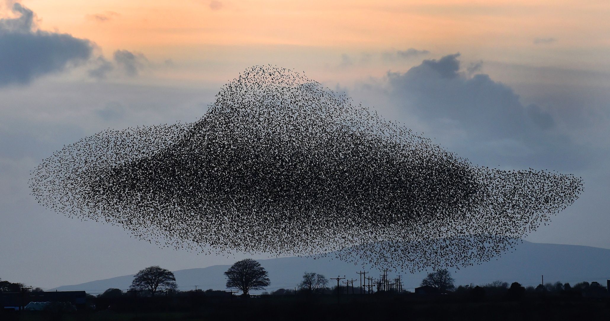 Δείτε ένα σμήνος χιλιάδων πουλιών να εκτελεί περίτεχνους σχηματισμούς (βίντεο)